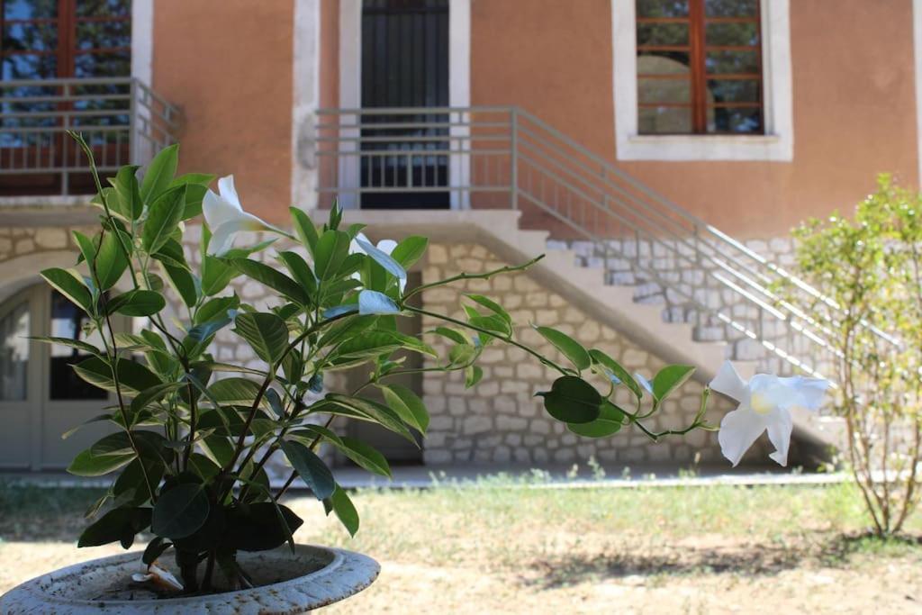 شقة La Provencale Uzès المظهر الخارجي الصورة